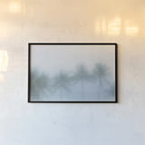 Palms in the Mist II by Deborah Revell. shown as a paper print in a black flame. Available as a archival giclee rolled canvas, fine art paper, or poster print. SKU 104907i.