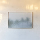 Palms in the Mist II by Deborah Revell. shown as a paper print in a white frame. Available as a archival giclee rolled canvas, fine art paper, or poster print. SKU 104907i.