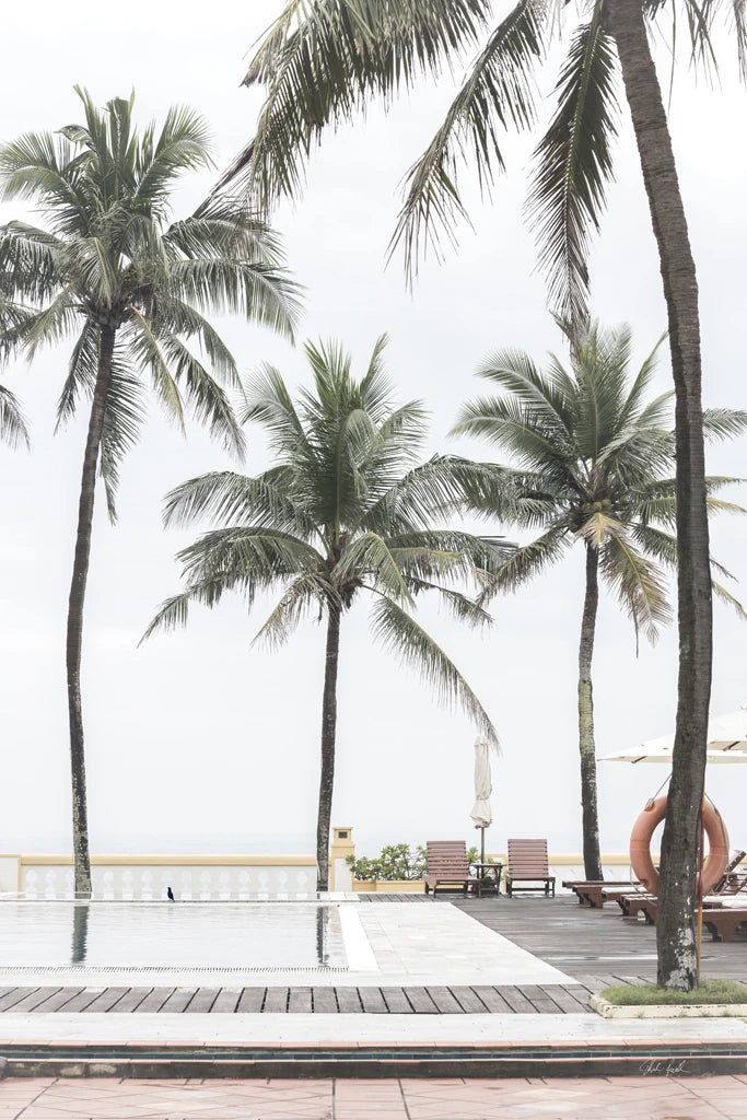Paradise by Deborah Revell