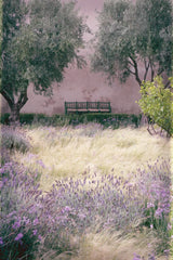 Paradise I by Deborah Revell. SKU 94373h. Archival Giclee Fine art print for wall decor.
