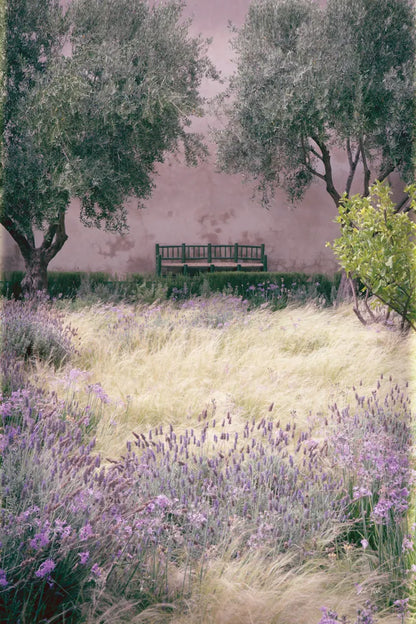 Paradise I by Deborah Revell. SKU 94373h. Archival Giclee Fine art print for wall decor.