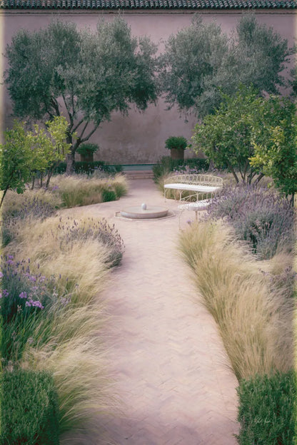 Paradise II by Deborah Revell. SKU 94374h. Archival Giclee Fine art print for wall decor.