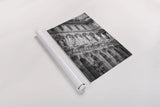 Paris Architecture I by Deborah Revell. shown as a rolled paper print. Available as archival giclee rolled canvas, fine art paper, or poster print. SKU 93486h.