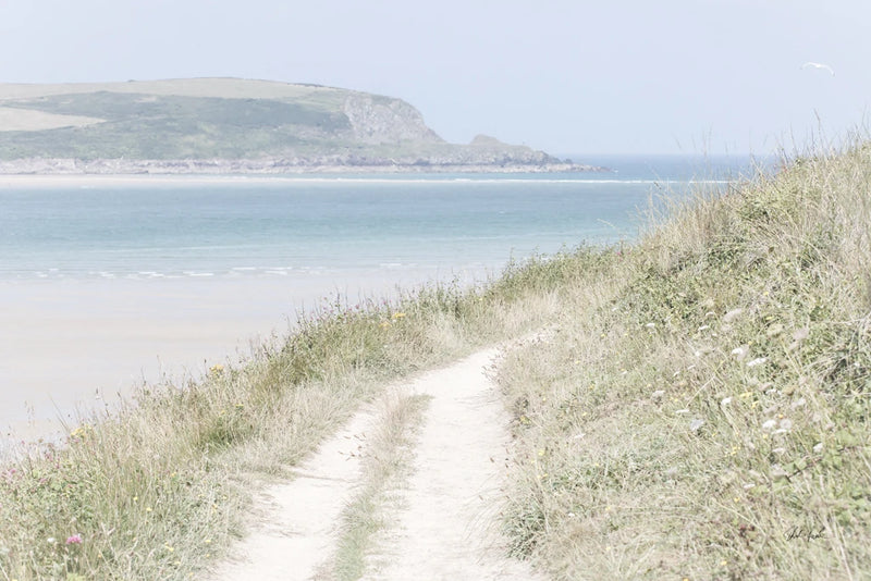 Path to the Coast by Deborah Revell
