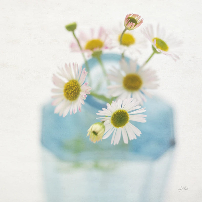 Peace by Deborah Revell