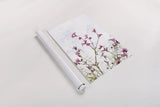 Pink Campion by Deborah Revell. shown as a rolled paper print. Available as archival giclee rolled canvas, fine art paper, or poster print. SKU 93429h.