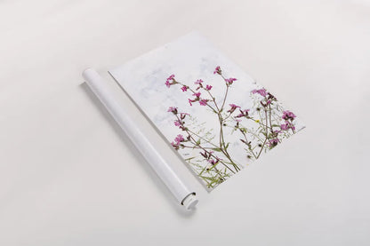 Pink Campion by Deborah Revell. shown as a rolled paper print. Available as archival giclee rolled canvas, fine art paper, or poster print. SKU 93429h.