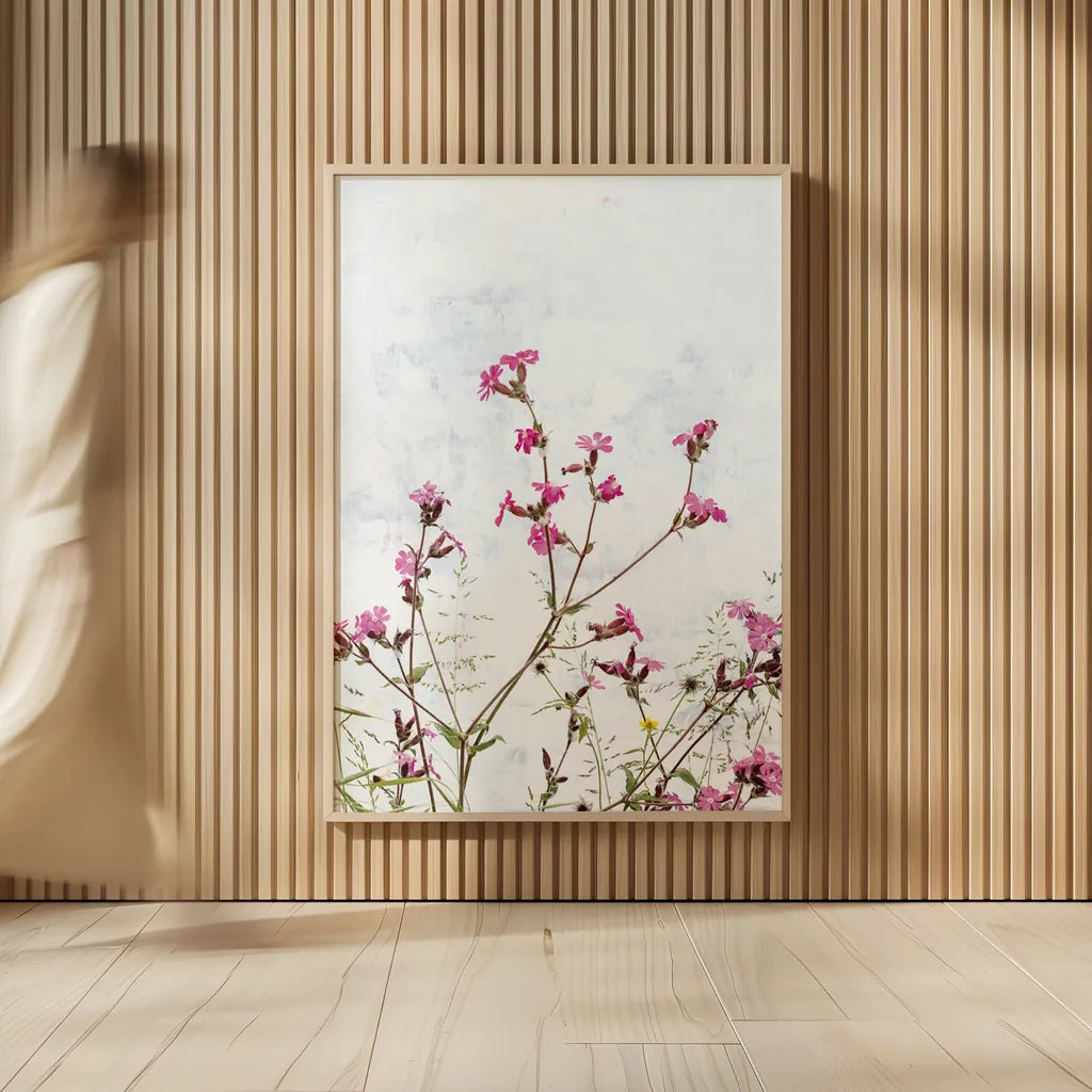 Pink Campion by Deborah Revell. shown as over sized large wall art. Available as an archival giclee rolled canvas, fine art paper, or poster print. SKU 93429h.