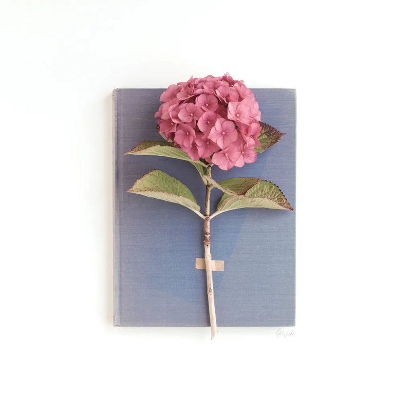 Pink Hydrangea on Book by Deborah Revell. SKU 98517a. Archival Giclee Fine art print for wall decor.