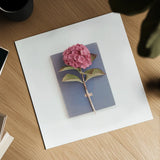 Pink Hydrangea on Book by Deborah Revell. Shown as a detailed flat fine art print, highlighting archival giclee quality. Available as an archival giclee rolled canvas, fine art paper, or poster print. SKU 98517a.