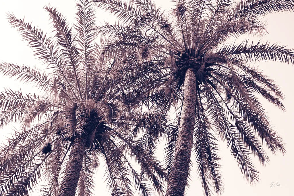 Pink Palms Horizontal by Deborah Revell. SKU 94378i. Archival Giclee Fine art print for wall decor.