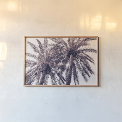 Pink Palms Horizontal by Deborah Revell. shown as a paper print in a natural frame. Available as a archival giclee rolled canvas, fine art paper, or poster print. SKU 94378i.