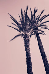 Pink Palms I by Deborah Revell. SKU 94375h. Archival Giclee Fine art print for wall decor.