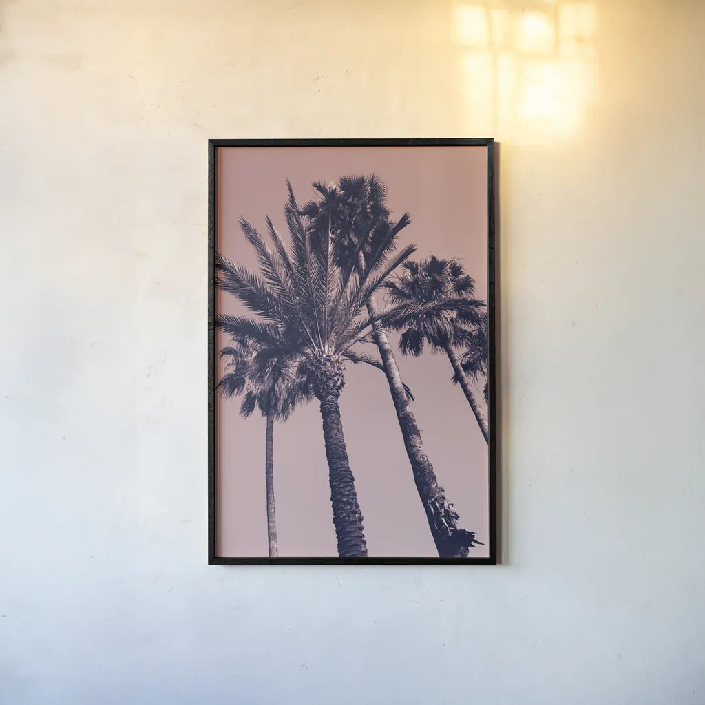 Pink Palms II by Deborah Revell. shown as a paper print in a black flame. Available as a archival giclee rolled canvas, fine art paper, or poster print. SKU 94376h.