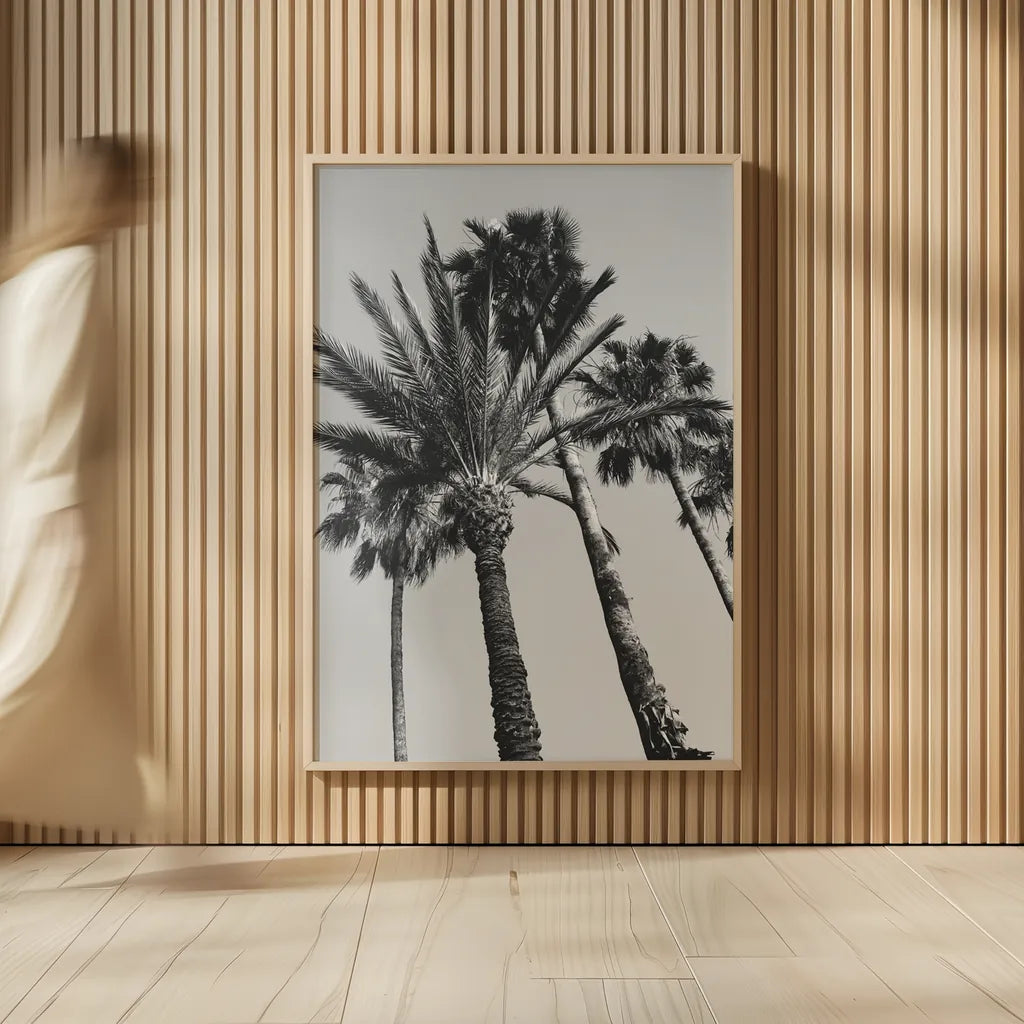 Pink Palms II BW by Deborah Revell. shown as over sized large wall art. Available as an archival giclee rolled canvas, fine art paper, or poster print. SKU 95504h.