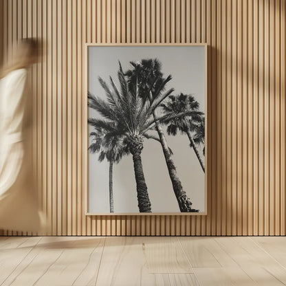 Pink Palms II BW by Deborah Revell. shown as over sized large wall art. Available as an archival giclee rolled canvas, fine art paper, or poster print. SKU 95504h.