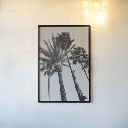 Pink Palms II BW by Deborah Revell. shown as a paper print in a black flame. Available as a archival giclee rolled canvas, fine art paper, or poster print. SKU 95504h.