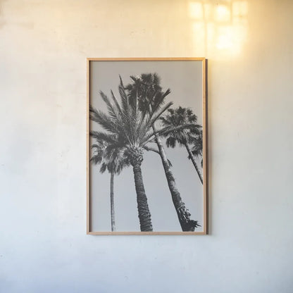 Pink Palms II BW by Deborah Revell. shown as a paper print in a natural frame. Available as a archival giclee rolled canvas, fine art paper, or poster print. SKU 95504h.
