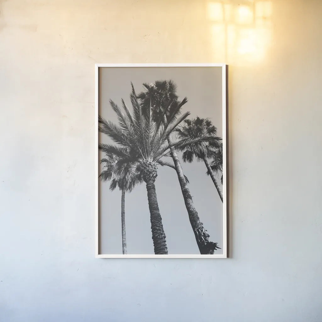 Pink Palms II BW by Deborah Revell. shown as a paper print in a white frame. Available as a archival giclee rolled canvas, fine art paper, or poster print. SKU 95504h.