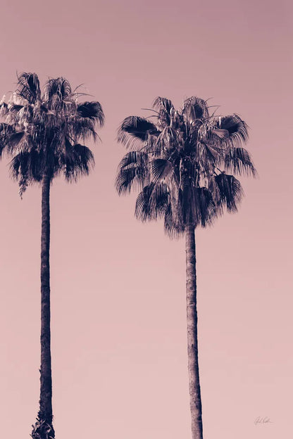 Pink Palms III by Deborah Revell. SKU 101783h. Archival Giclee Fine art print for wall decor.