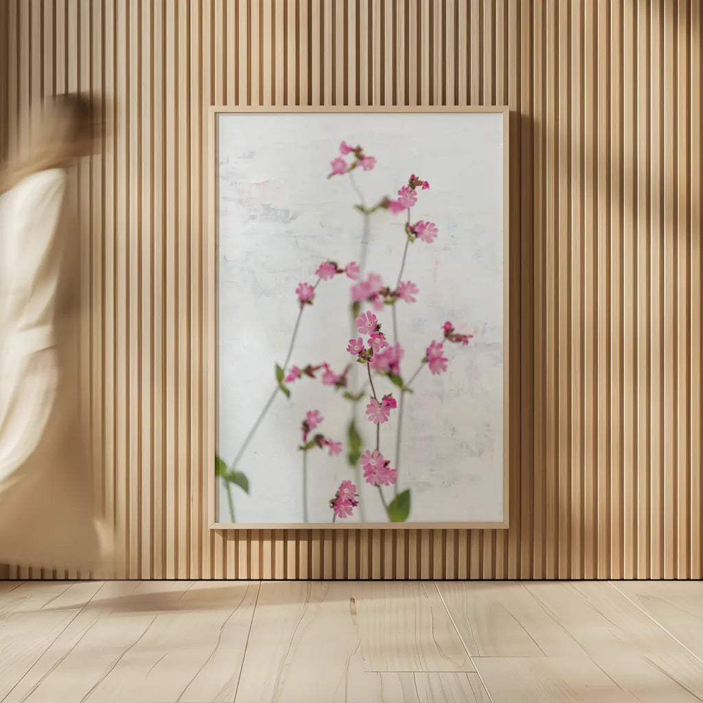 Pink Silene by Deborah Revell. shown as over sized large wall art. Available as an archival giclee rolled canvas, fine art paper, or poster print. SKU 93421h.