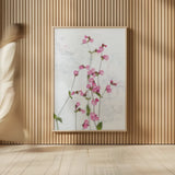 Pink Silene by Deborah Revell. shown as over sized large wall art. Available as an archival giclee rolled canvas, fine art paper, or poster print. SKU 93421h.