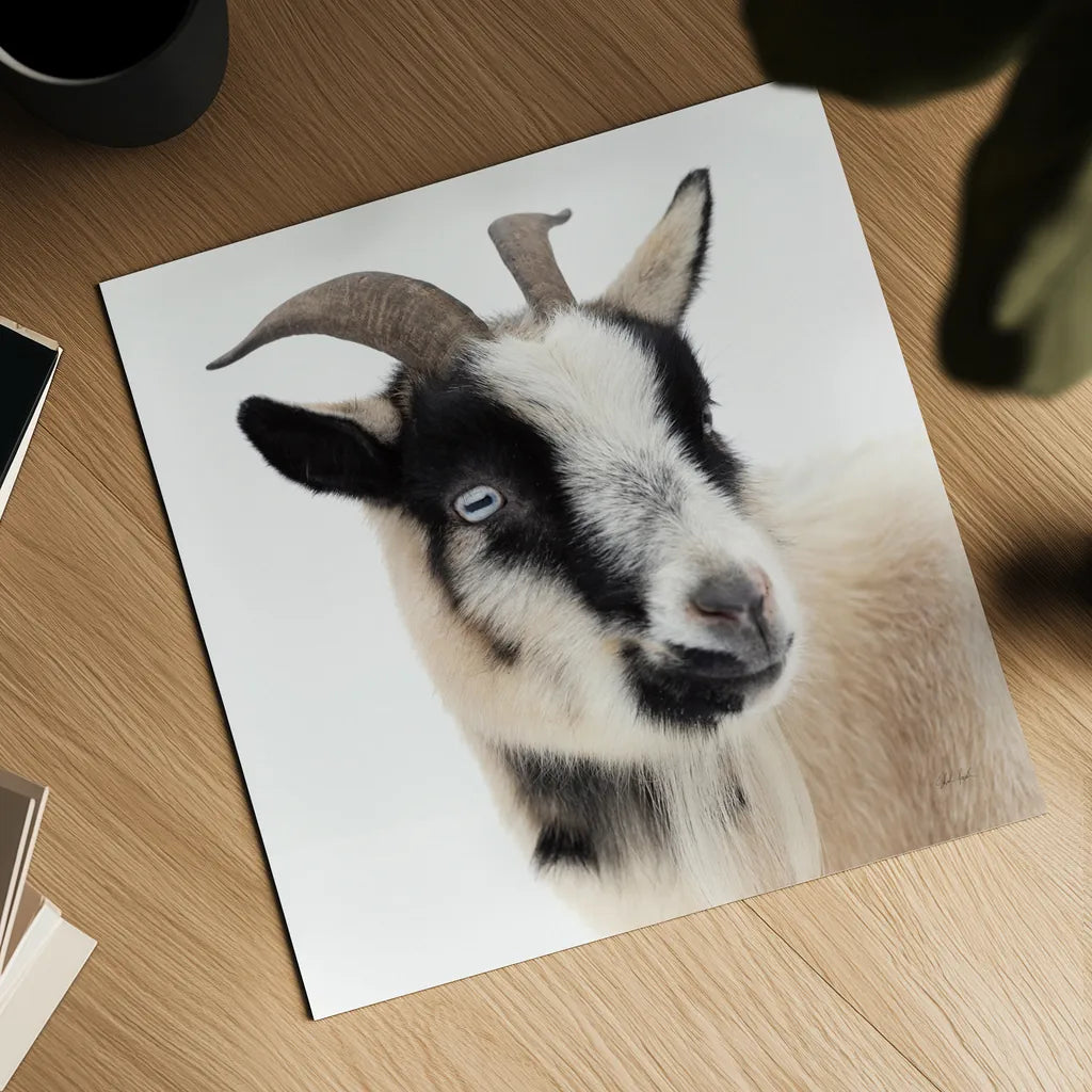 Pippa the Goat I by Deborah Revell. Shown as a detailed flat fine art print, highlighting archival giclee quality. Available as an archival giclee rolled canvas, fine art paper, or poster print. SKU 96297a.