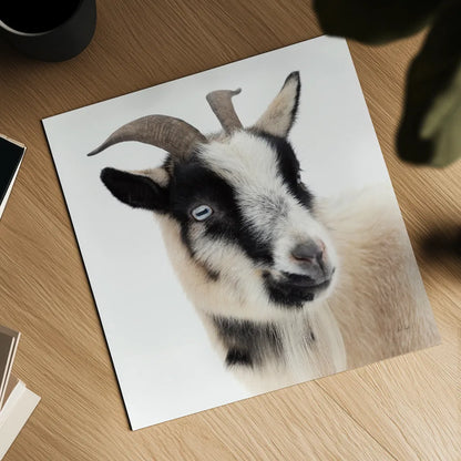 Pippa the Goat I by Deborah Revell. Shown as a detailed flat fine art print, highlighting archival giclee quality. Available as an archival giclee rolled canvas, fine art paper, or poster print. SKU 96297a.