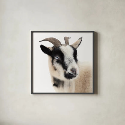 Pippa the Goat I by Deborah Revell. Shown in a sleek black glass frame for a contemporary gallery look. Available as an archival giclee rolled canvas, fine art paper, or poster print. SKU 96297a.