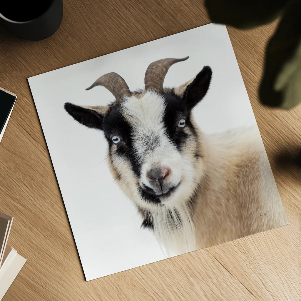 Pippa the Goat II by Deborah Revell. Shown as a detailed flat fine art print, highlighting archival giclee quality. Available as an archival giclee rolled canvas, fine art paper, or poster print. SKU 96298a.