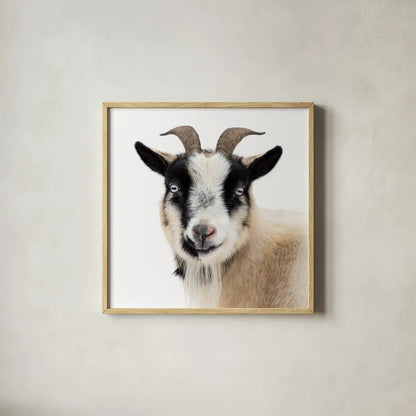 Pippa the Goat II by Deborah Revell. Shown in a natural wood glass frame for a timeless modern aesthetic. Available as an archival giclee rolled canvas, fine art paper, or poster print. SKU 96298a.