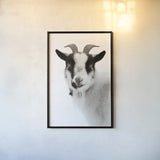 Pippa the Goat II BW by Deborah Revell. shown as a paper print in a black flame. Available as a archival giclee rolled canvas, fine art paper, or poster print. SKU 96325h.