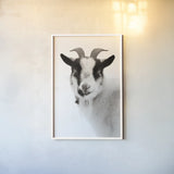 Pippa the Goat II BW by Deborah Revell. shown as a paper print in a white frame. Available as a archival giclee rolled canvas, fine art paper, or poster print. SKU 96325h.