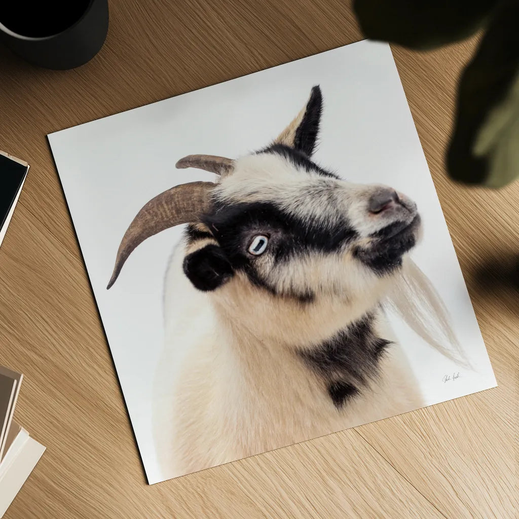 Pippa the Goat III by Deborah Revell. Shown as a detailed flat fine art print, highlighting archival giclee quality. Available as an archival giclee rolled canvas, fine art paper, or poster print. SKU 96299a.