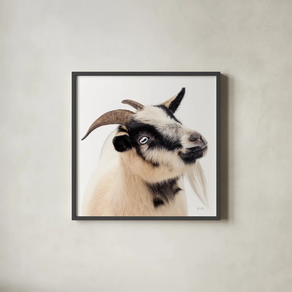 Pippa the Goat III by Deborah Revell. Shown in a sleek black glass frame for a contemporary gallery look. Available as an archival giclee rolled canvas, fine art paper, or poster print. SKU 96299a.
