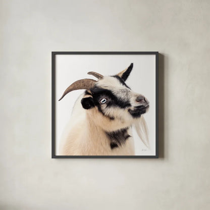 Pippa the Goat III by Deborah Revell. Shown in a sleek black glass frame for a contemporary gallery look. Available as an archival giclee rolled canvas, fine art paper, or poster print. SKU 96299a.