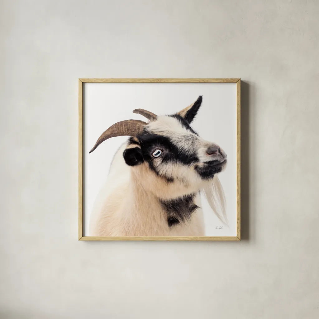 Pippa the Goat III by Deborah Revell. Shown in a natural wood glass frame for a timeless modern aesthetic. Available as an archival giclee rolled canvas, fine art paper, or poster print. SKU 96299a.