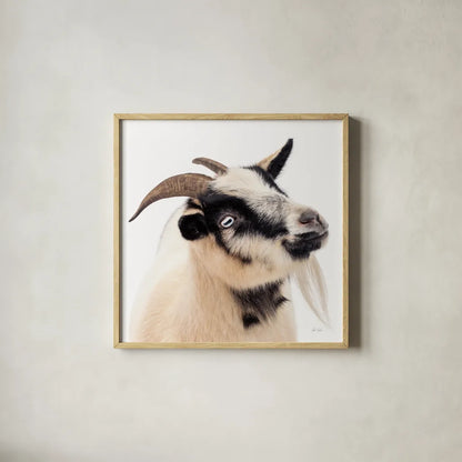 Pippa the Goat III by Deborah Revell. Shown in a natural wood glass frame for a timeless modern aesthetic. Available as an archival giclee rolled canvas, fine art paper, or poster print. SKU 96299a.