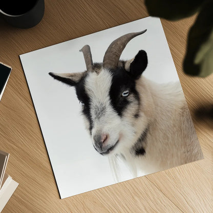 Pippa the Goat IV by Deborah Revell. Shown as a detailed flat fine art print, highlighting archival giclee quality. Available as an archival giclee rolled canvas, fine art paper, or poster print. SKU 96300a.