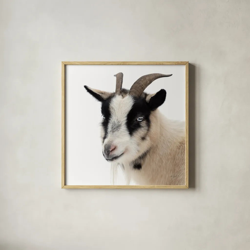 Pippa the Goat IV by Deborah Revell. Shown in a natural wood glass frame for a timeless modern aesthetic. Available as an archival giclee rolled canvas, fine art paper, or poster print. SKU 96300a.
