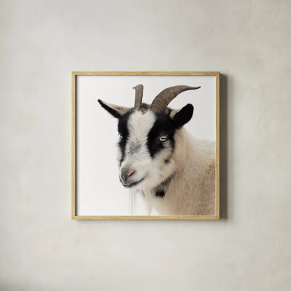 Pippa the Goat IV by Deborah Revell. Shown in a natural wood glass frame for a timeless modern aesthetic. Available as an archival giclee rolled canvas, fine art paper, or poster print. SKU 96300a.