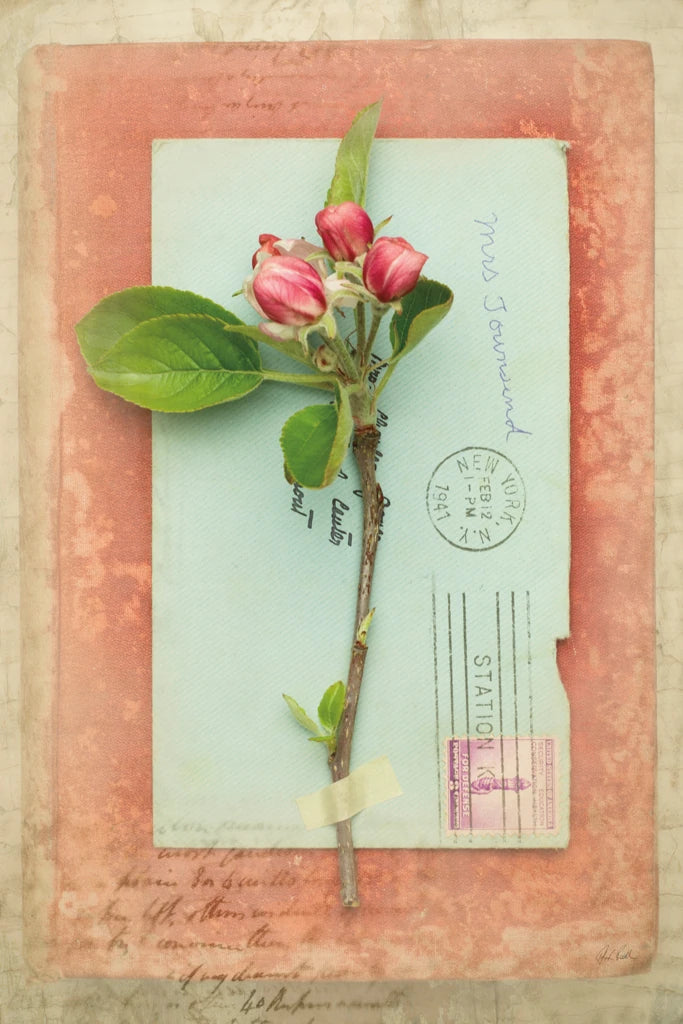 Poets Garden II by Deborah Revell