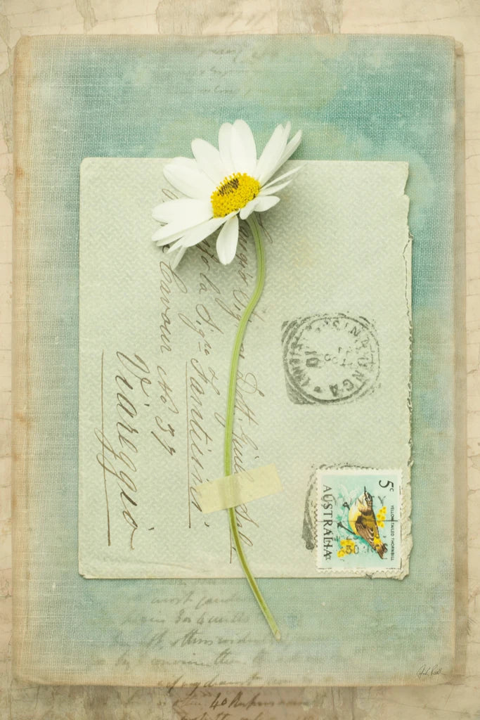 Poets Garden IV by Deborah Revell