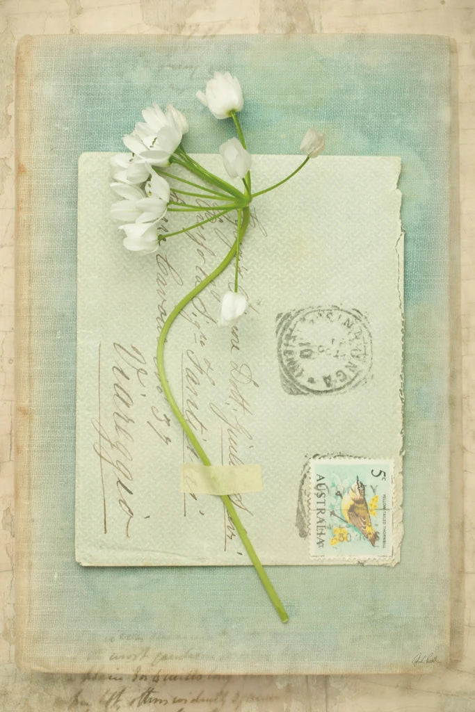 Poets Garden V by Deborah Revell