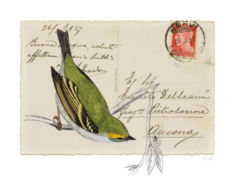 Postcard Bird I by Deborah Revell