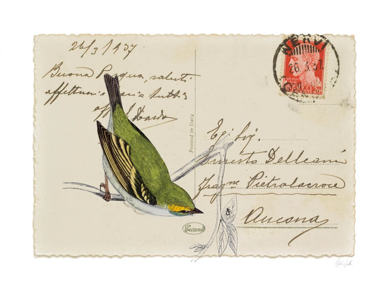 Postcard Bird I v2 by Deborah Revell