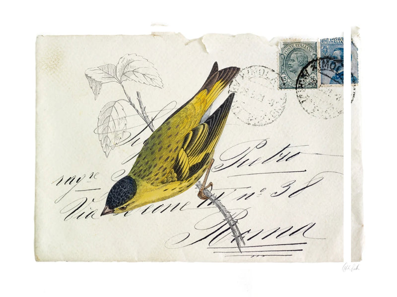 Postcard Bird II v2 by Deborah Revell