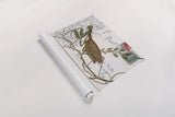 Praying Mantis Postcard by Deborah Revell. shown as a rolled paper print. Available as archival giclee rolled canvas, fine art paper, or poster print. SKU 91116i.