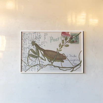 Praying Mantis Postcard by Deborah Revell. shown as a paper print in a white frame. Available as a archival giclee rolled canvas, fine art paper, or poster print. SKU 91116i.