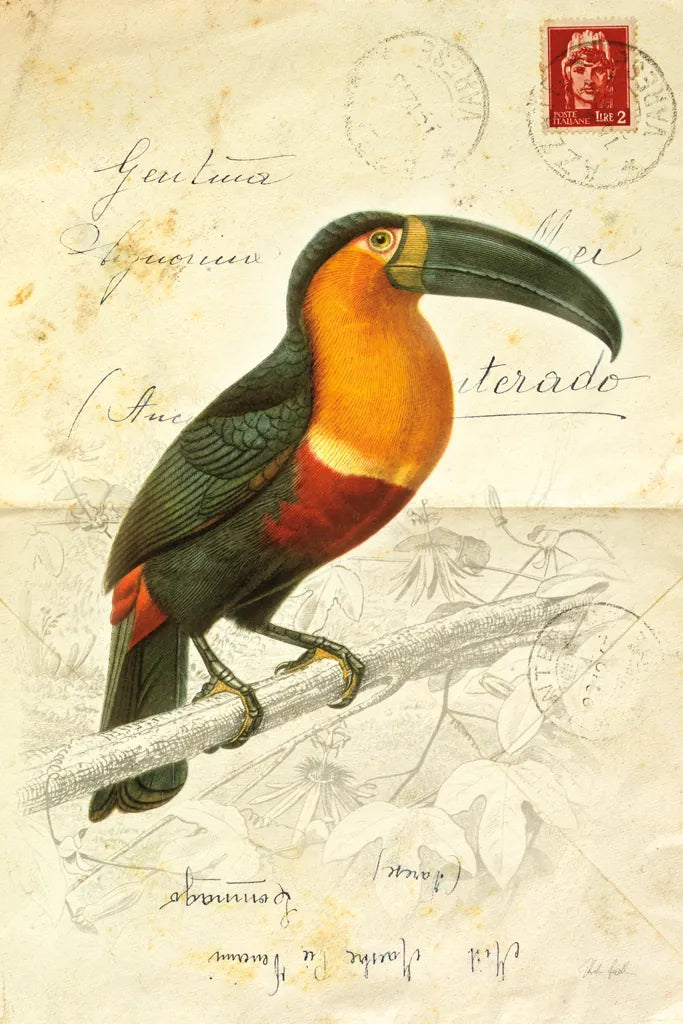 Pretty Bird I by Deborah Revell. SKU 92340h. Archival Giclee Fine art print for wall decor.